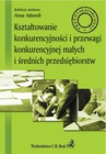 ebook Kształtowanie konkurencyjności i przewagi konkurencyjnej małych i średnich przedsiębiorstw - Anna Adamik