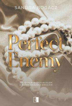 ebook Perfect enemy