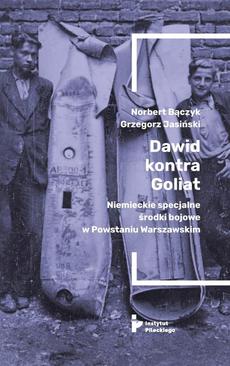 ebook Dawid kontra Goliat. Niemieckie specjalne środki bojowe w Powstaniu Warszawskim