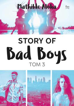 ebook Story of Bad Boys 3