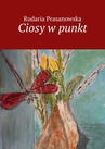 ebook Ciosy w punkt - Rudaria Prasanowska