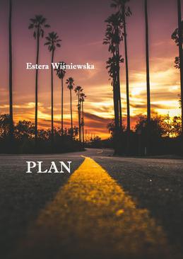 ebook Plan