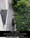 ebook O kocie, który sam chadzał na przechadzkę. The Cat that Walked by Himself - Rudyard Kipling