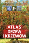 ebook Atlas drzew i krzewów - Aleksandra Halarewicz