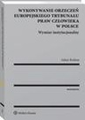 ebook Wykonywanie orzeczeń Europejskiego Trybunału Praw Człowieka w Polsce. Wymiar instytucjonalny - Adam Bodnar