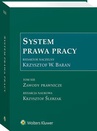 ebook System Prawa Pracy. Tom XIII - Krzysztof Ślebzak,Krzysztof Wojciech Baran,Krzystof W. Baran