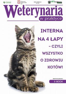 ebook Interna na 4 łapy – czyli wszystko o zdrowiu kotów