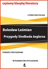 ebook Przygody Sindbada Żeglarza - Bolesław Leśmian