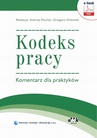 ebook Kodeks pracy. Komentarz dla praktyków (e-book) - Grzegorz Orłowski,Andrzej Patulski