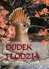 ebook Dudek i Lodzia - Anna Mikler-Chwastek