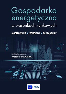 ebook Gospodarka energetyczna w warunkach rynkowych