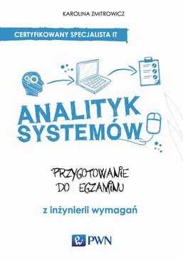 ebook Analityk systemów