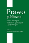 ebook Prawo publiczne wobec aktualnych problemów społecznych i gospodarczych - Marek Mrówczyński,Tomasz Knepka