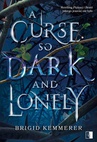 ebook A Curse So Dark and Lonely - Brigid Kemmerer