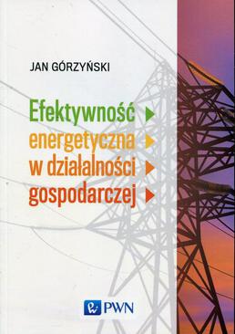 ebook Efektywność energetyczna w działalności gospodarczej