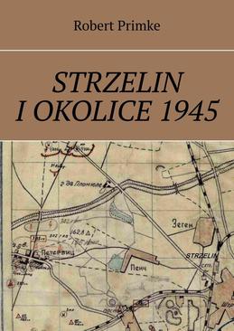 ebook Strzelin i okolice 1945